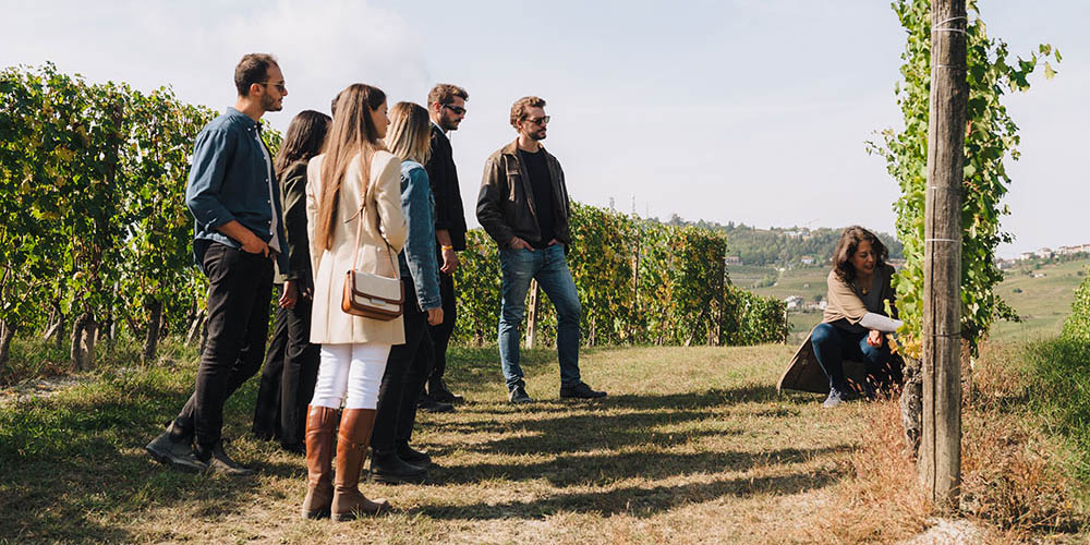 Visita in cantina con pranzo nelle Langhe weekend 2026